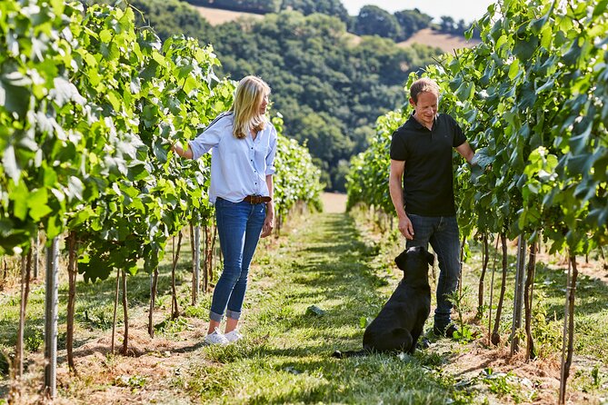 1.5-Hour Swanaford Vineyard Tour And Tasting Experience - Key points