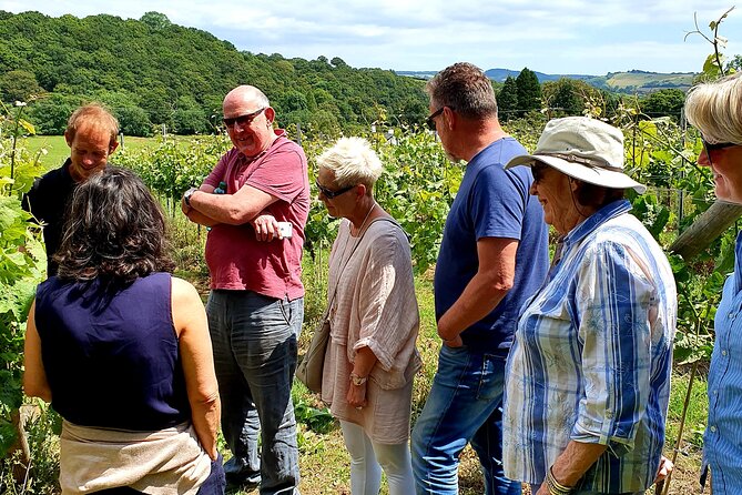 1.5-Hour Swanaford Vineyard Tour And Tasting Experience - The 1.5-hour format: why this tour fits real travel schedules