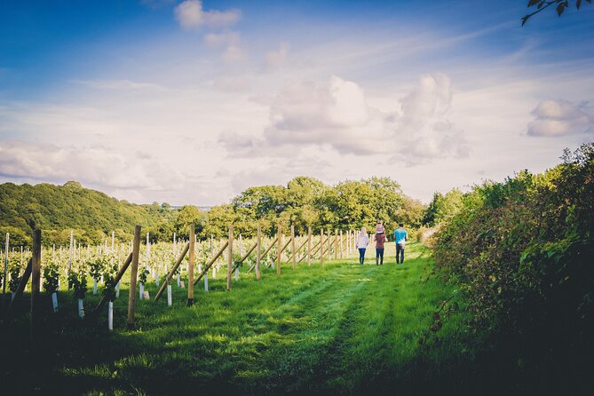 1.5-Hour Swanaford Vineyard Tour And Tasting Experience - Stop 1 at Swanaford: walking the vines and learning the real Dartmoor challenges