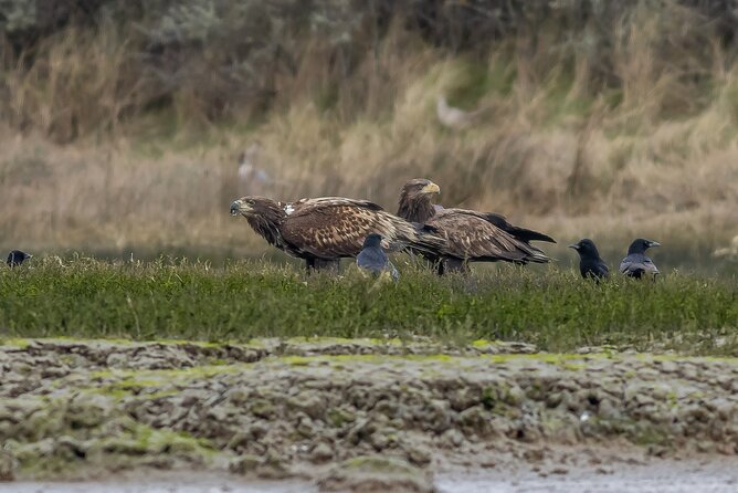 2.5 Hours SightSeeing Tour in Beaulieu River - The photo opportunities: river vantage points you can actually use
