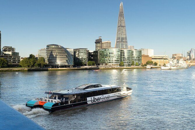 2 Day London Hop-On Hop-Off River Thames Sightseeing Pass - Central London by boat: Millbank to London Eye Waterloo