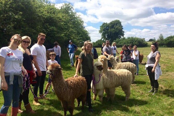 2-Hour Alpaca Farm Experience in Kenilworth - Price and Value: Is $35.78 per Person Worth It?