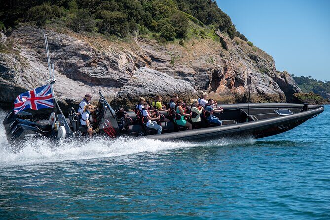 30-Minute Raptor RIB Ride Activity in Torquay - Wildlife, caves, and secluded bays: what you might see