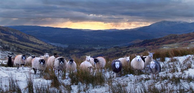 4 hour Private Lake District tour (tour A) - A 4-hour Lake District hit from Windermere, private all the way