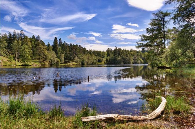 4 hour Private Lake District tour (tour A) - Holehird Gardens: easy walking with Lake Windermere in sight