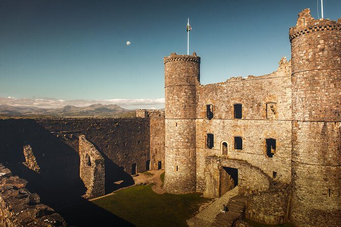 5-Day Discover Wales Small-Group Tour from London - Day 3: Cardigan Bay towns, dolphins from New Quay, and the Dylan Thomas route to Tenby