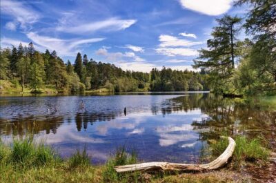 6 hour Private tour of the Lake District. - Start at Windermere station: pickup and timing you should plan for