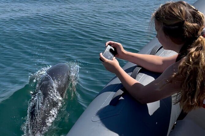 90 Minute Coastal Explorer in Torquay - Entering Torquay Marina: What the 90 minutes feels like