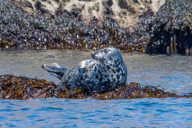 90 Minute Coastal Explorer in Torquay - Price and value: does $65.22 for 90 minutes make sense?