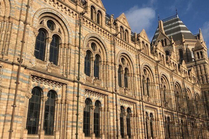 A Day at the Museum - Natural History Museum London - Who this tour is best for
