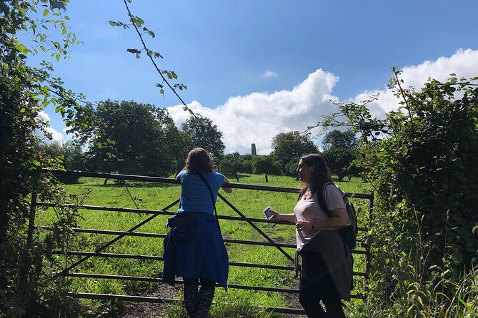 A Tour of Glastonbury, Guided by the Trees. - Well House Lane springs: a short stop with a big vibe