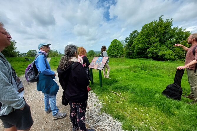 A Tour of Glastonbury, Guided by the Trees. - Price and value: what $111.11 buys you in real terms
