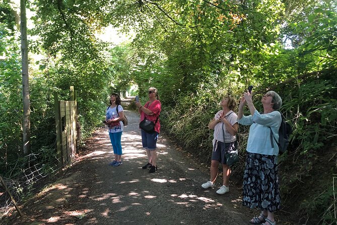 A Tour of Glastonbury, Guided by the Trees. - Practical tips so the tour feels effortless