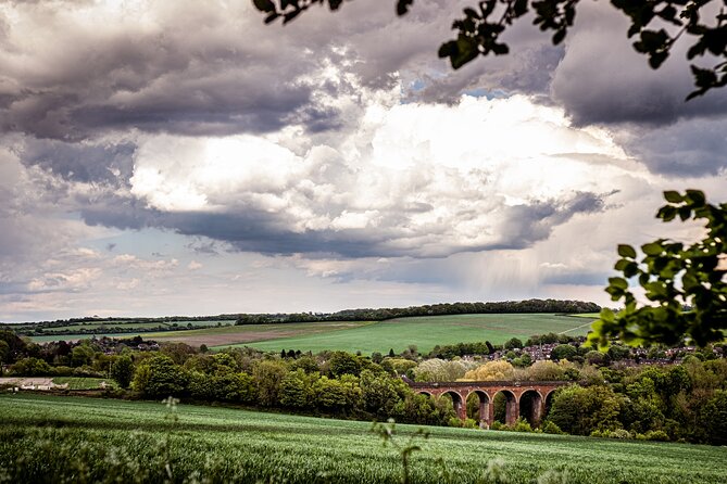 Admission Pass to Eagle Heights in Kent - Eagle Heights Wildlife Foundation: an easy nature break near London