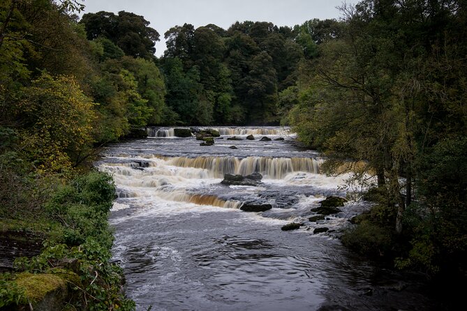 All Creatures Great and Small Tour from York - Grassington: where the village vibe turns into Darrowby energy