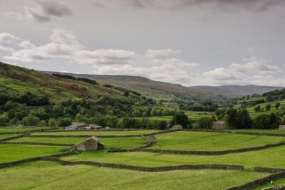 All Creatures Great and Small Tour from York - Hawes and Wensleydale Creamery: cheese time that also helps with lunch