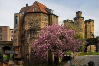 Annual Admission Newcastle Castle Ticket - What you’ll see inside: passages, chambers, and exhibit stories