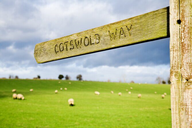 Bath and Cotswolds Guided Tour from London - Why This Bath and Cotswolds Day Trip Works Without a Car