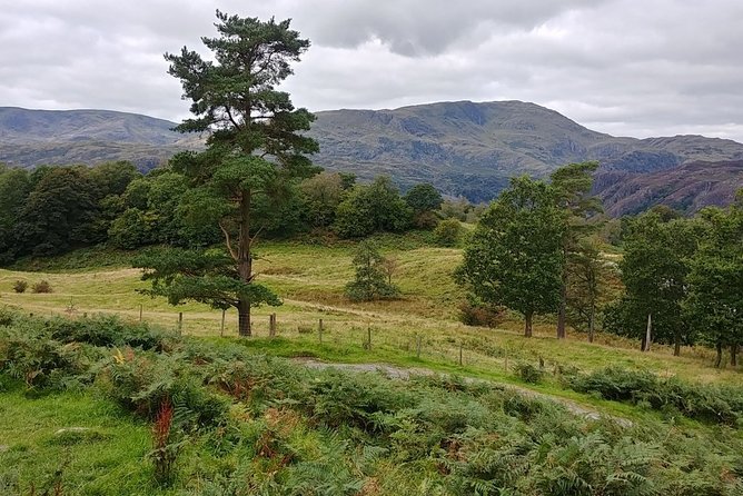 Beatrix Potter: Morning Half Day with an Expert Guide - includes entrance fees - Tarn Hows and Coniston Water: photo breaks that feel like story pages