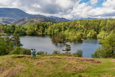 Beatrix Potter's Half Day Lake District Tour Including Lake Cruise - Tarn Hows: Short Stop, Big Views (and Why It Fits a Half-Day)