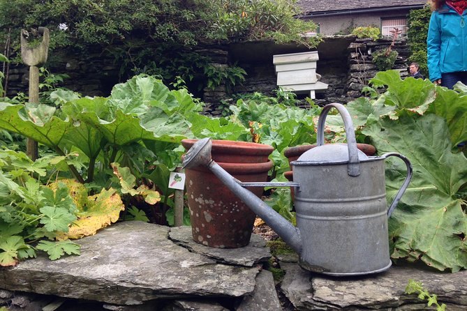 Beatrix Potter's Half Day Lake District Tour Including Lake Cruise - Should You Book This Beatrix Potter Half-Day Tour?