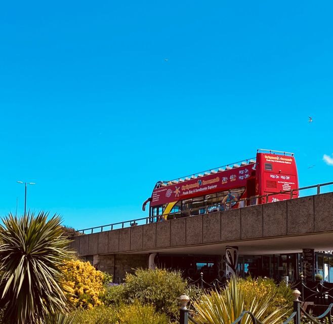 Bournemouth: City Sightseeing Hop-On Hop-Off Bus Tour - Poole Park and the harbour-side mood: where the day changes