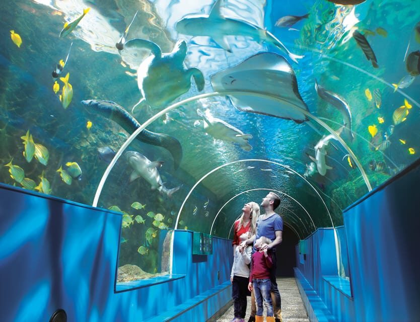 Bournemouth Oceanarium Ticket - Where the Setup Helps Families (and Where It Might Feel Limited)