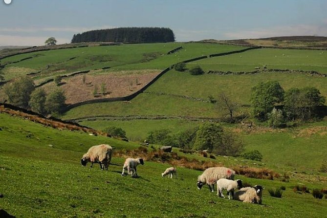 Bronte Country and Yorkshire Dales Private Day Trip from York - Marston Moor to Wetherby to Arthington Viaduct: the drive-through story