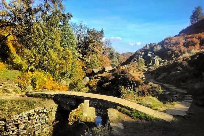 Bronte Country and Yorkshire Dales Private Day Trip from York - Bolton Abbey: the 12th-century Augustinian ruins by the river