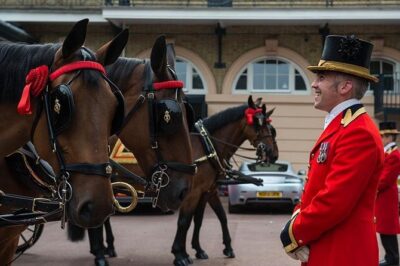 Buckingham Palace: Admission ticket to The Royal Mews - What you’ll see: state coaches, ceremonial vehicles, and the Gold State Coach