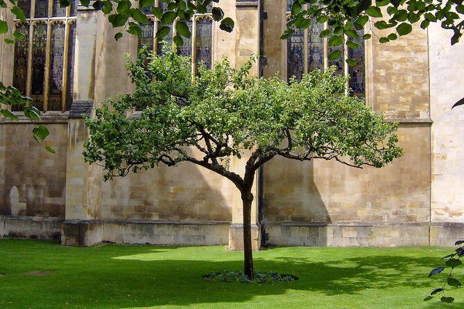 Cambridge University Walking Tour - Stop-by-stop: from the River Cam origins to Senate House