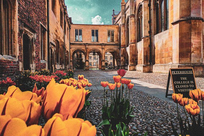 Cambridge's History & Secrets with Self-Guided Walking Tours - Value for Money: What $34.28 Covers (And What It Doesn’t)