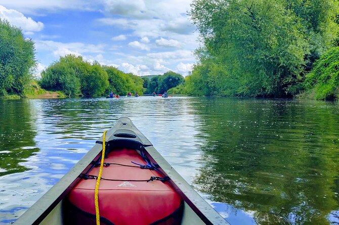 Canoe Paddle Tour from Totnes - Wildlife, calm water moments, and photo help from your guide