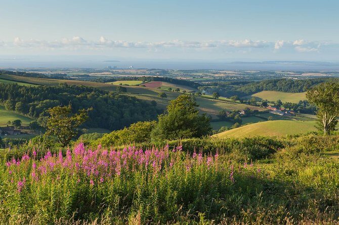 Canterbury & the White Cliffs of Dover Tour (Small-Group) - Price and Value: Does $109.73 Make Sense?