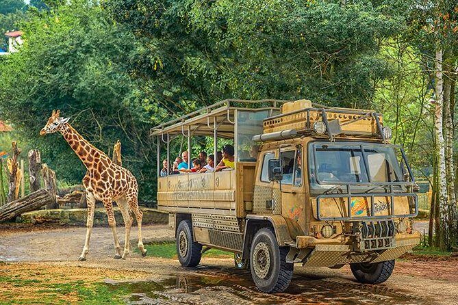 Chessington World of Adventures Resort Admission Ticket - Live shows and seasonal events: plan for flexible timing