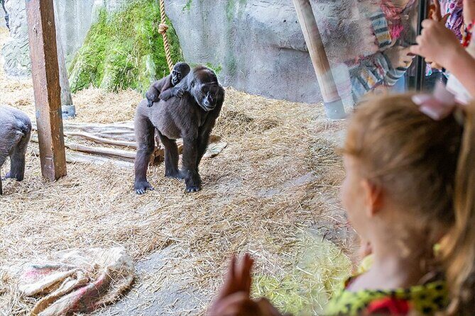 Chessington World of Adventures Resort Admission Ticket - Getting there and making the day comfortable