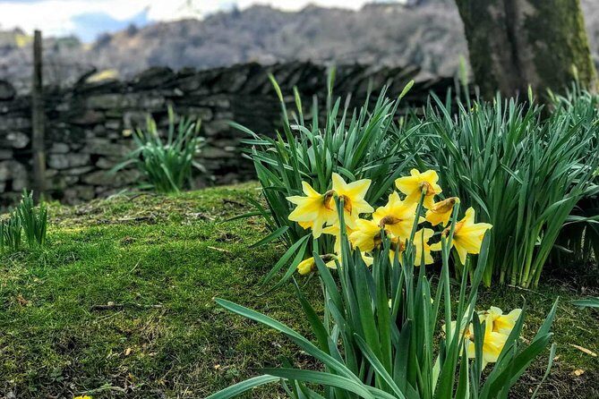CHESTER: Lake District Adventure - Sightseeing Day Trip Tour - The scenic climb: when the road turns into a viewpoint