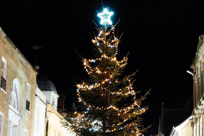 Christmas Mulled Wine Walk of Winchester - Winchester Cathedral at the end: the big lights finish