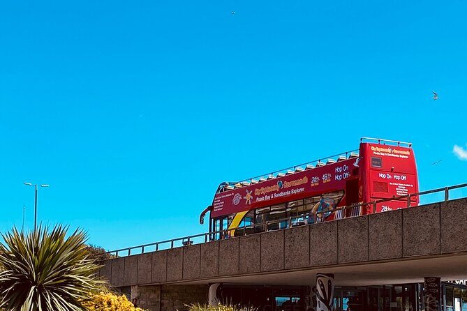 City Sightseeing Bournemouth Hop-On Hop-Off Bus Tour - Price and value: what $23.43 buys you in practice