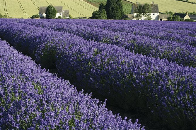 Classic Cotswolds Private Tour - Chipping Campden: Wool Church Views and the Market Hall Feel