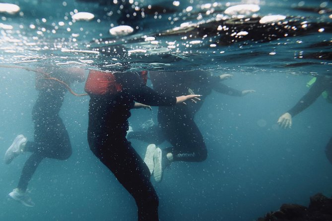 Coasteering - Key Highlights To Know Before You Go
