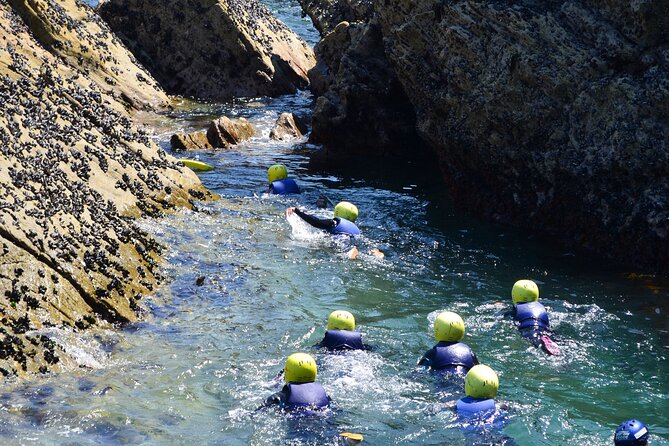Coasteering Experience in Newquay - Marine Life Sightings Along the Route