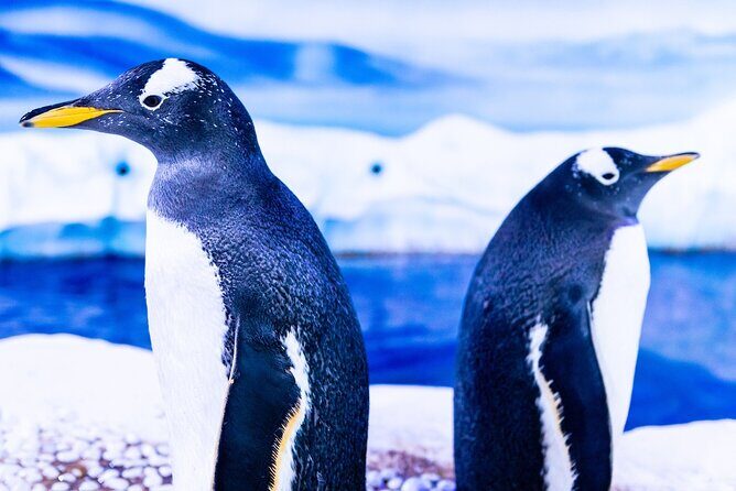 Combo Ticket: Madame Tussauds & SEA LIFE London Aquarium - SEA LIFE London Aquarium: Polar Adventure, Coral Kingdom, and Penguins