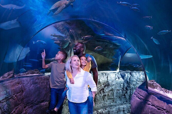 Combo Ticket: Madame Tussauds & SEA LIFE London Aquarium - How the Combo Ticket Makes Your London Day Easier