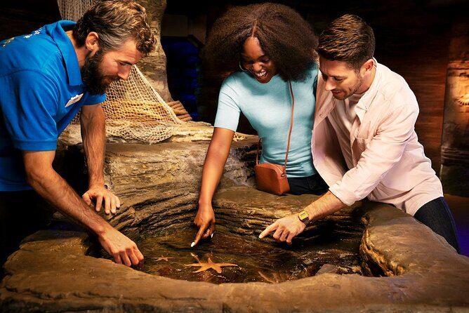 Combo Ticket: Madame Tussauds & SEA LIFE London Aquarium - The Bottom Line: Should You Book This Combo Ticket?
