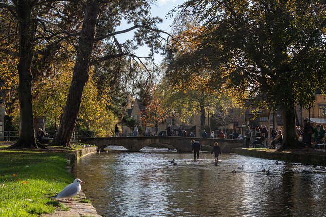 Costwolds Day Tour from Oxford - Bibury and Arlington Row: the River Coln plus fairytale stonework