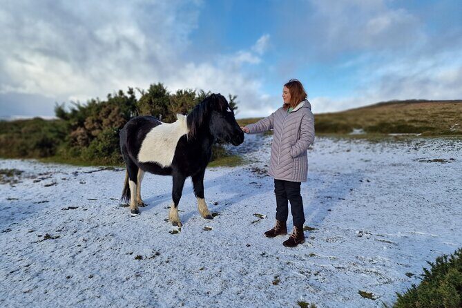 Dartmoor Tour - Key things that make this Dartmoor tour click