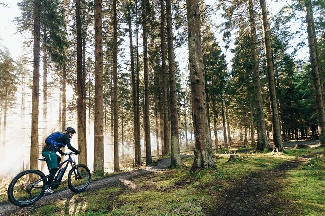 E-bike excursion exploring the Purbecks - Key highlights to know before you go