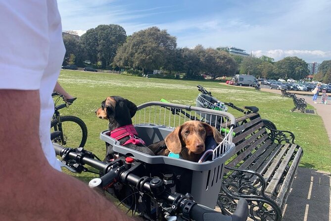 E-bike excursion exploring the Purbecks - Who should book this e-bike Purbecks ride?