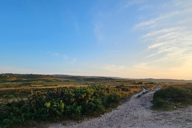 E-Bike excursion to Harrys Rock or Corfé Castle - The Clifftop Moment: Old Harry Rocks Views Without the Grind